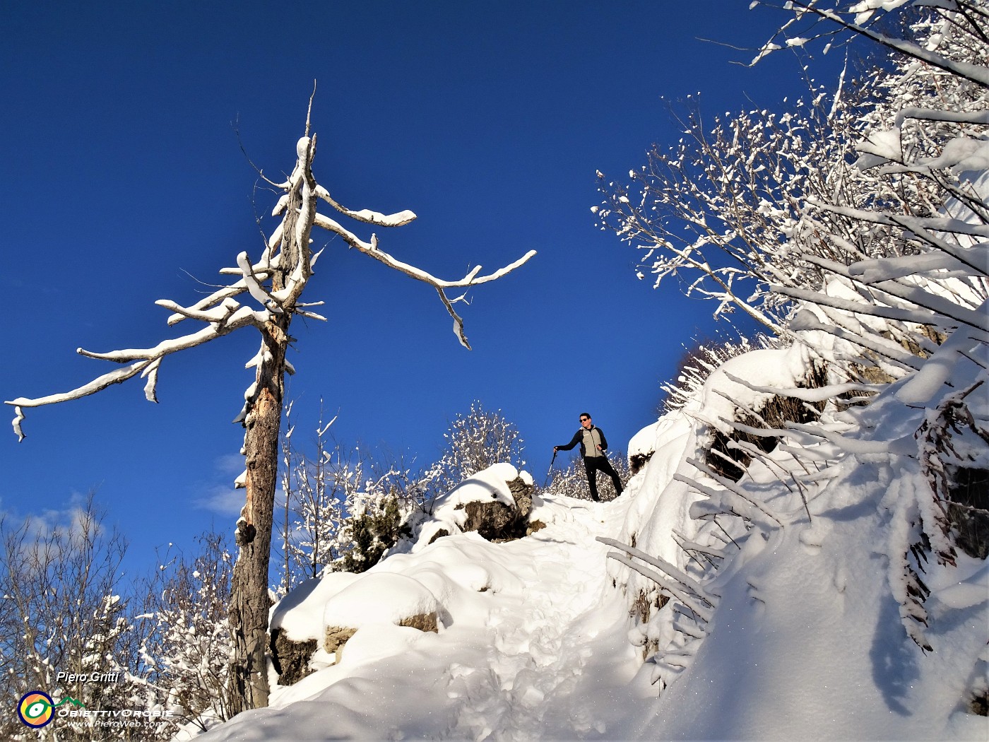 36 La neve non si stacca neppure dai rami secchi.JPG